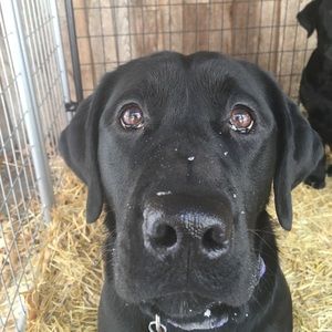 Meet your Posher, Madison